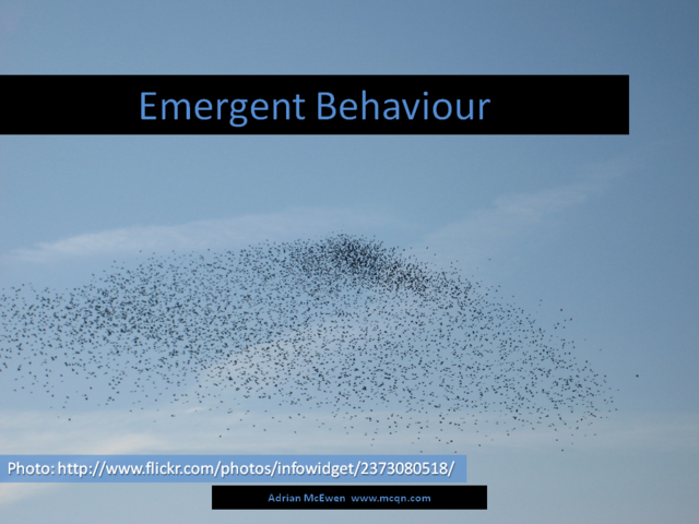 Emergent Behaviour