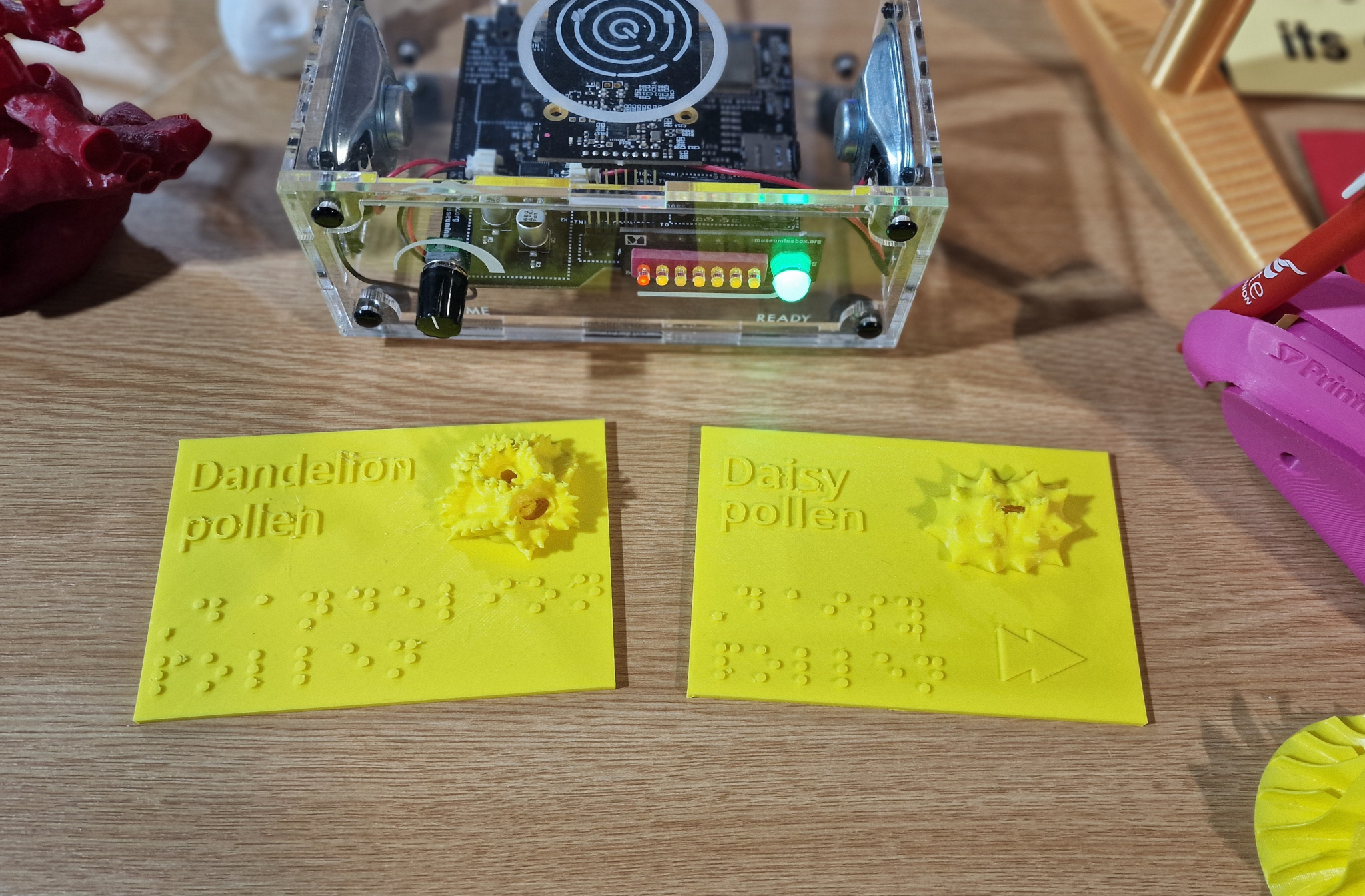 Two 3d printed models of pollen, on yellow supports that also have a Braille description of the object. These are part of a Natural History Museum Collection for Museum in a Box. In the photograph the models are in the foreground, behind on a wooden desk is a transparent Museum in a Box